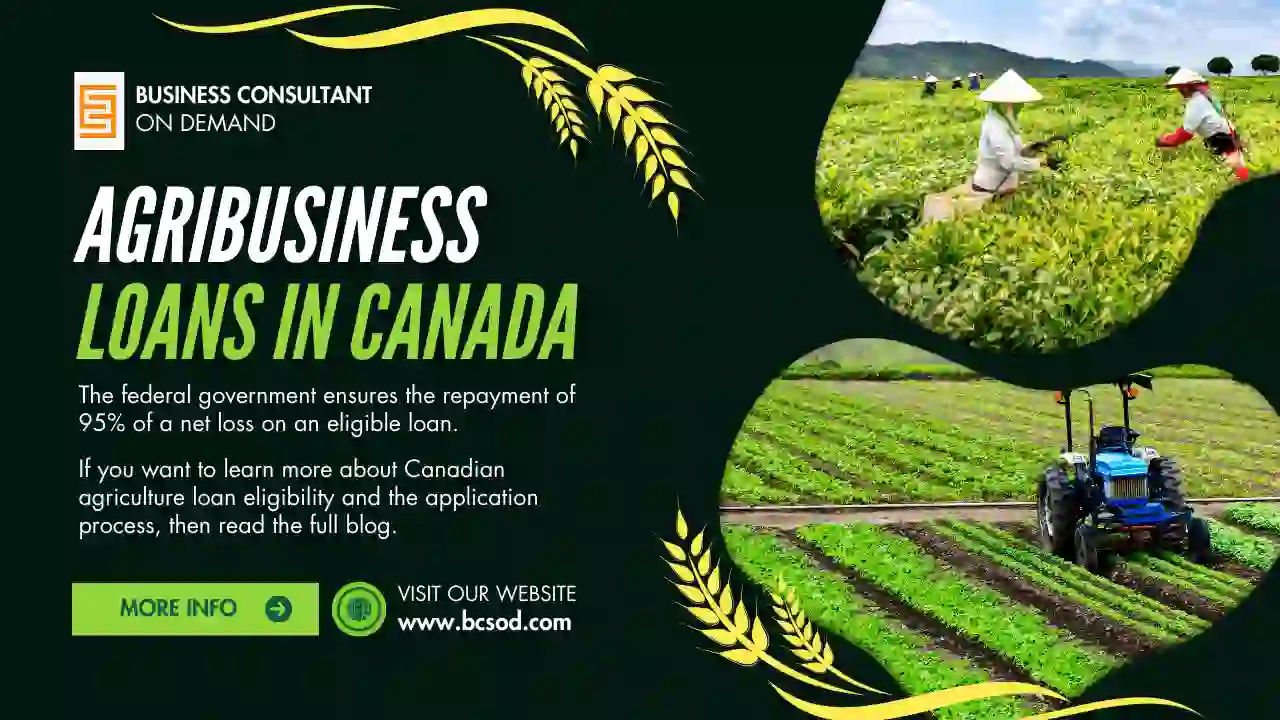 Agribusiness loans in Canada