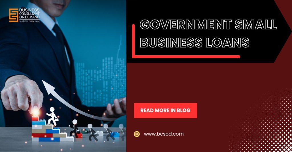 Government Small Business Loans