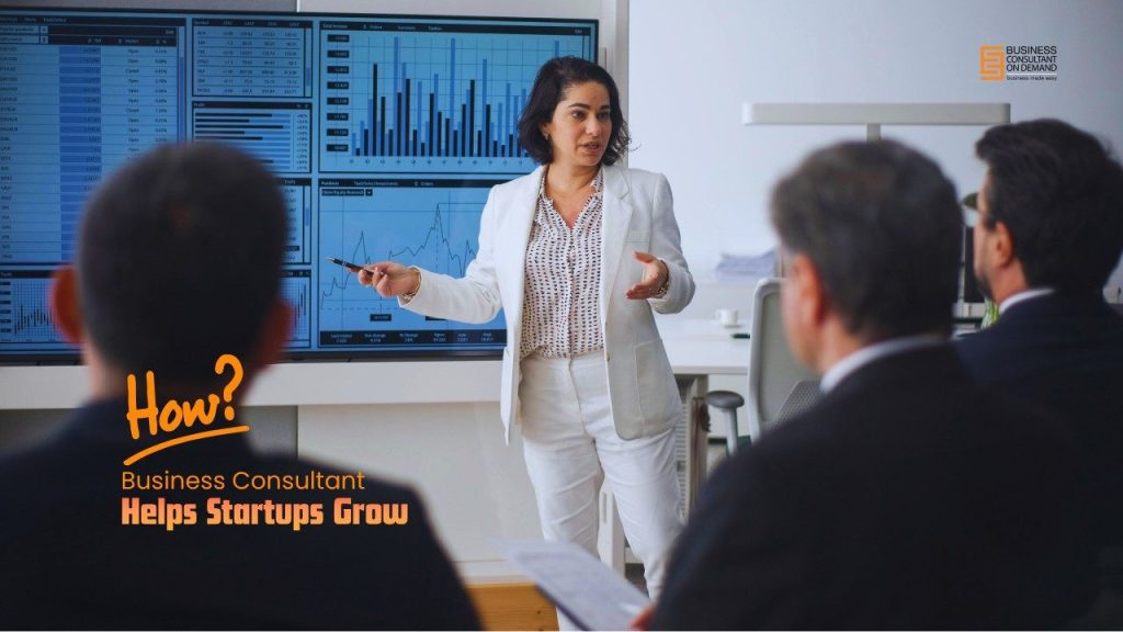 How business consultant helps startups grow