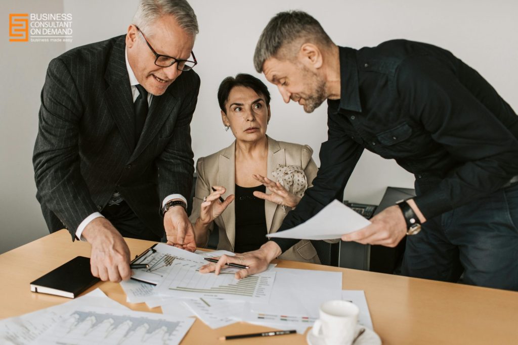 professional business planning services