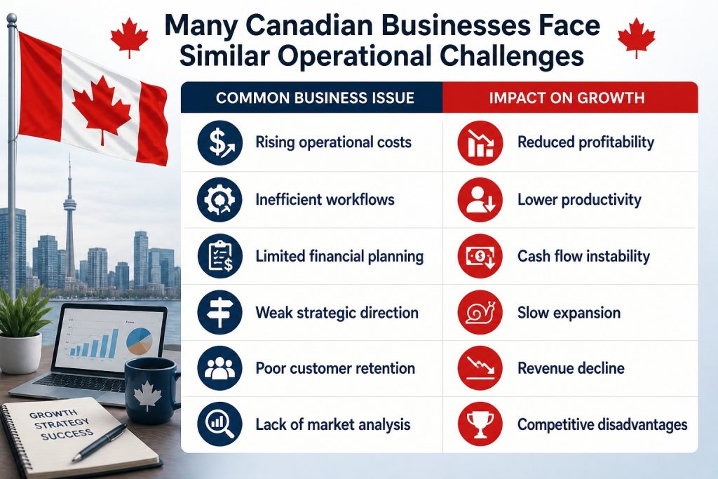 Why Every Growing Company Needs a Business Consultant Common Business Issue