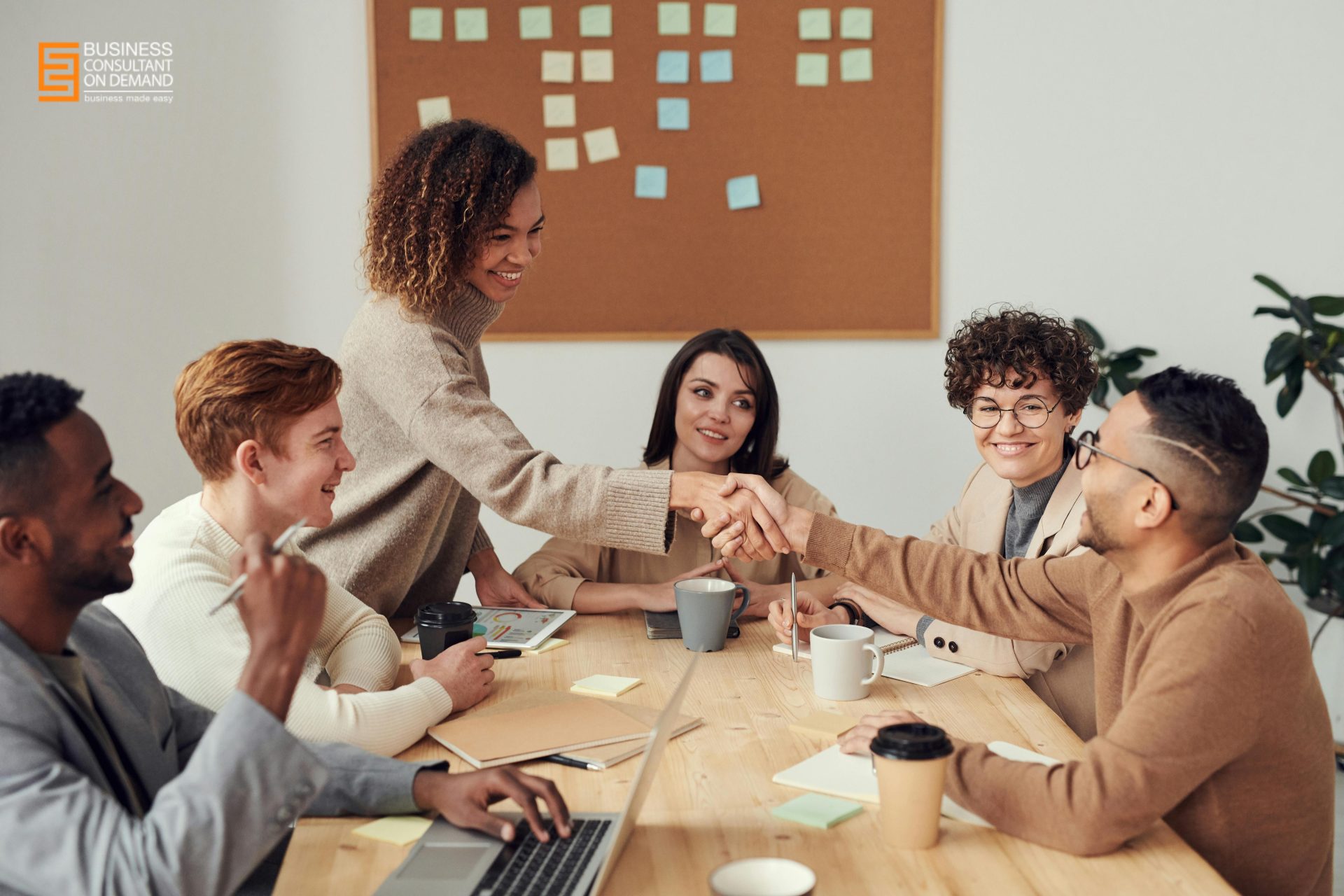 Business Consultant